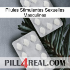 Male Sexual Stimulant Pills 17